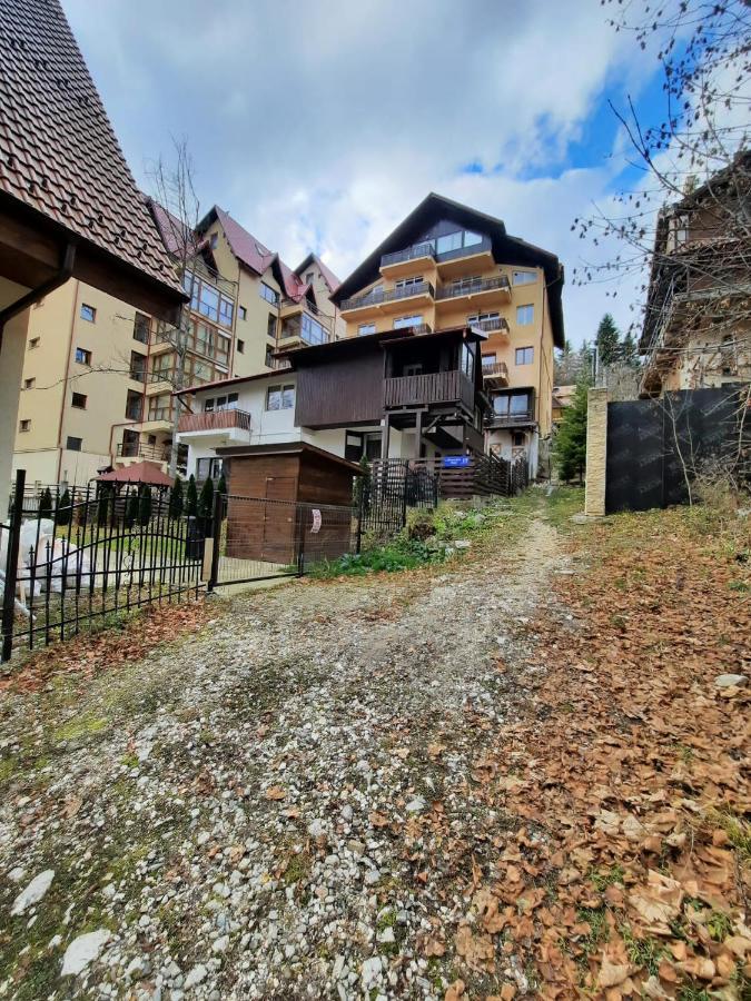 Studio Furnica Sinaia Bagian luar foto